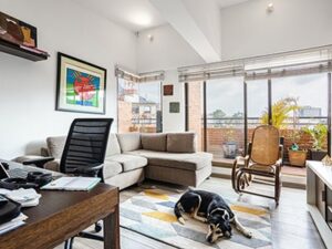 pet-friendly apartments in Charlottesville